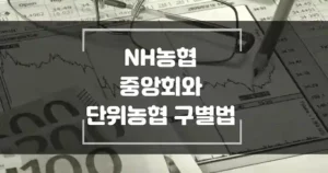 NH농협은행과 단위, 지역농협 계좌 구별법 썸네일