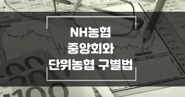 NH농협은행과 단위, 지역농협 계좌 구별법 썸네일