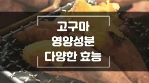 고구마에 포함된 영양 성분과 다양한 효능 썸네일