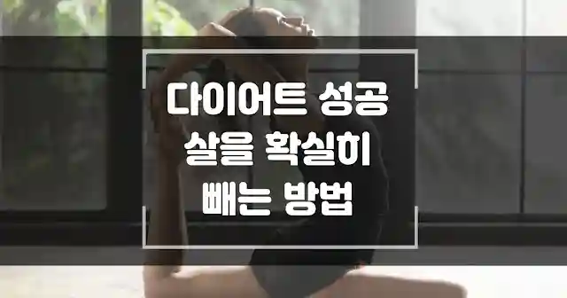 다이어트 성공 살을 확실히 빼는 방법 섬네일