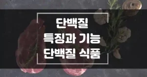 단백질의 특징과 기능. 단백질이 포함된 식품 썸네일