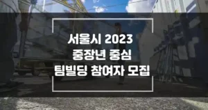 서울시 기술과 경험을 갖춘 중장년 중심 팀빌딩 참여자(기업) 모집 및 창업지원
