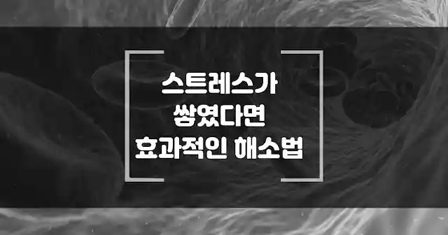 효과적인 스트레스 발산하는 방법 썸네일