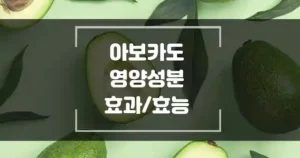 아보카도의 영양 성분과 우리 몸에 주는 효과 썸네일