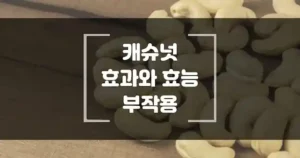 캐슈넛 효과, 효능과 칼로리 그리고 부작용. 캐슈넛 올바르게 먹는 방법