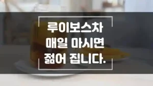 루이보스 차 매일 마시면 젋어 집니다. 섬네일