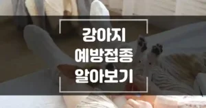 강아지-예방접종-알아보기-섬네일