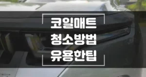 코일 매트 청소 방법 유용한 팁 섬네일