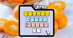 감귤 보관방법 곰팡이에 1급 발암물질 포함 썸네일