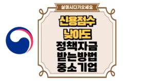 신용점수 낮아도 정책자금 받는 방법! 중소기업 대표님 필독 섬네일