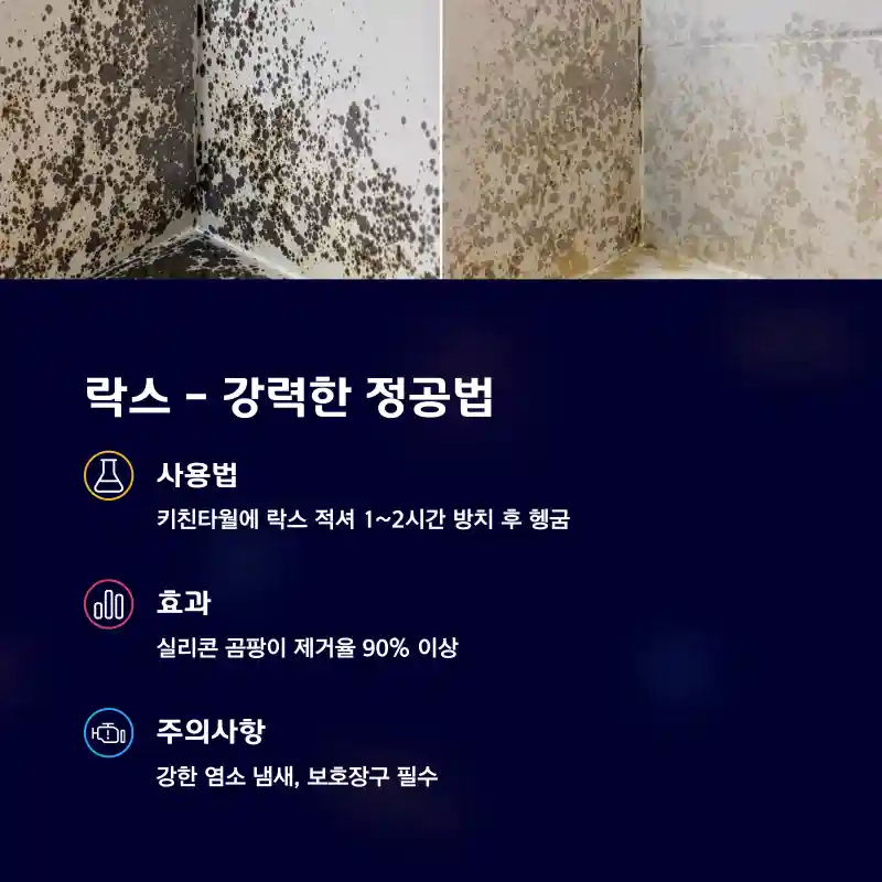 락스 - 강력한 정공법
