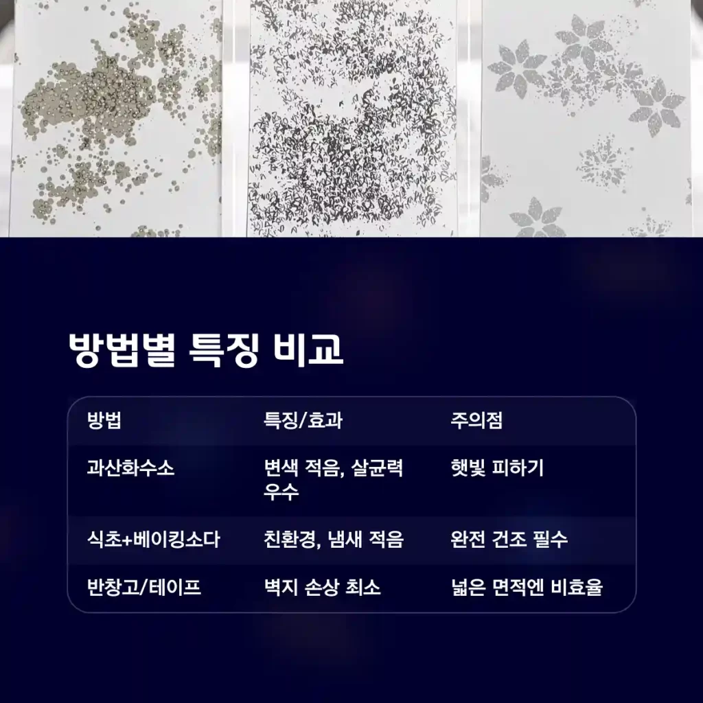 락스 없이 곰팡이 제거하는 3가지 방법