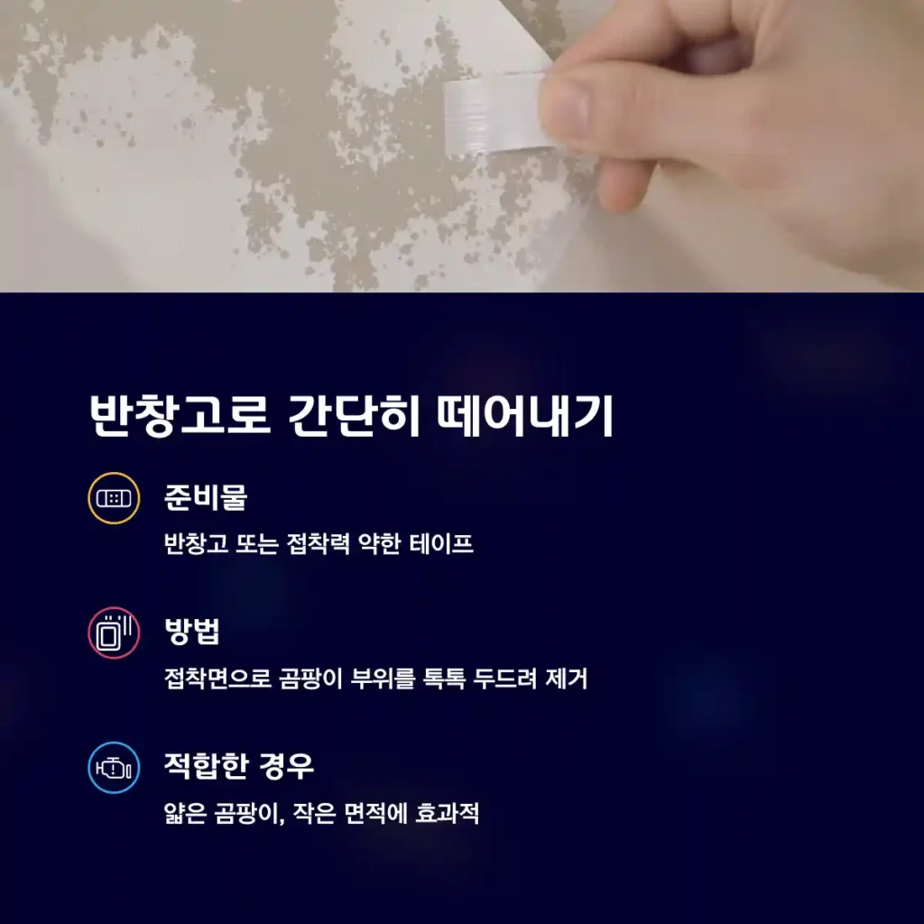 반창고(또는 테이프) 이용 – 얇은 곰팡이에 효과적