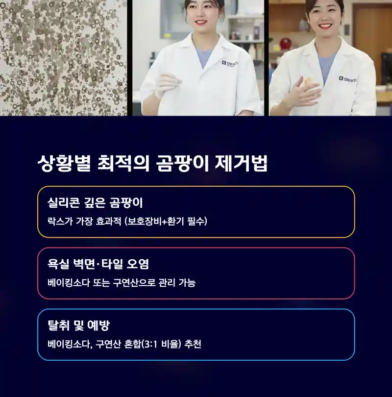 상황별 최적의 곰팡이 제거법