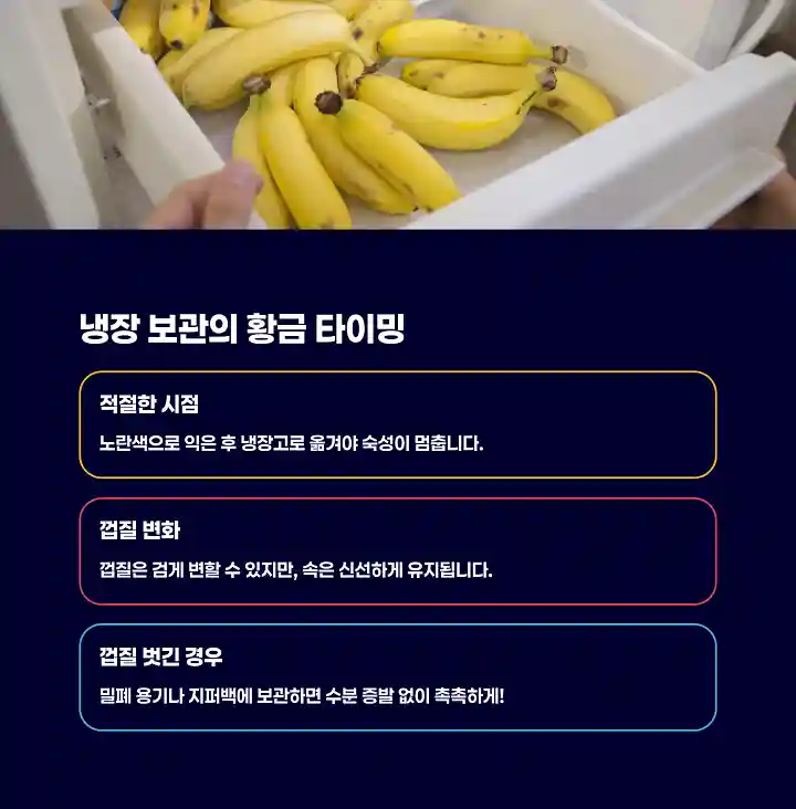 냉장 보관의 황금 타이밍